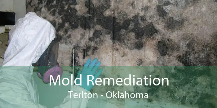 Mold Remediation Terlton - Oklahoma