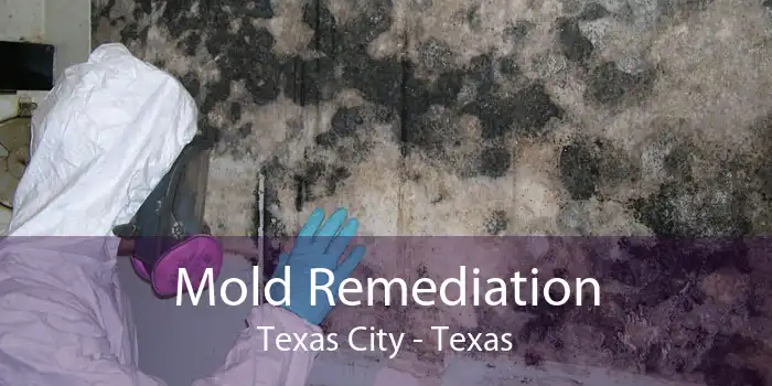 Mold Remediation Texas City - Texas