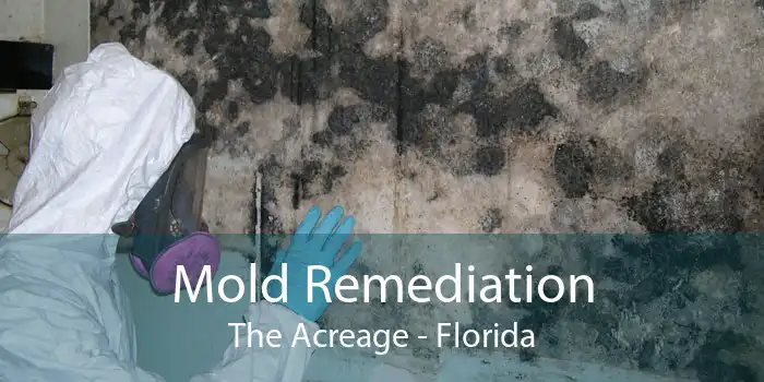 Mold Remediation The Acreage - Florida