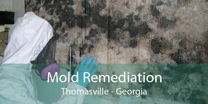 Mold Remediation Thomasville - Georgia