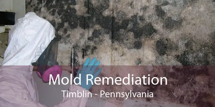 Mold Remediation Timblin - Pennsylvania