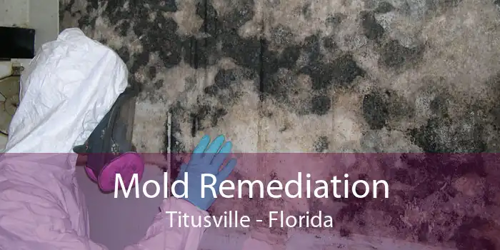 Mold Remediation Titusville - Florida