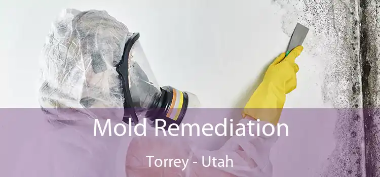 Mold Remediation Torrey - Utah