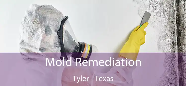 Mold Remediation Tyler - Texas