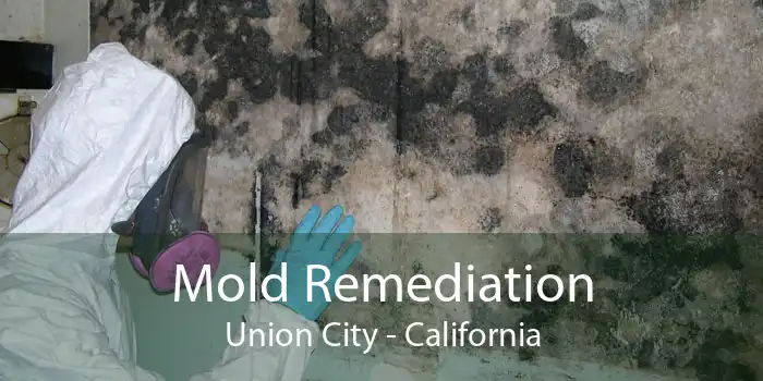 Mold Remediation Union City - California