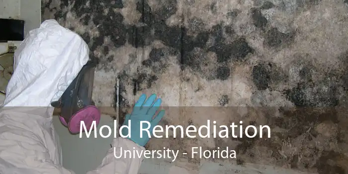 Mold Remediation University - Florida