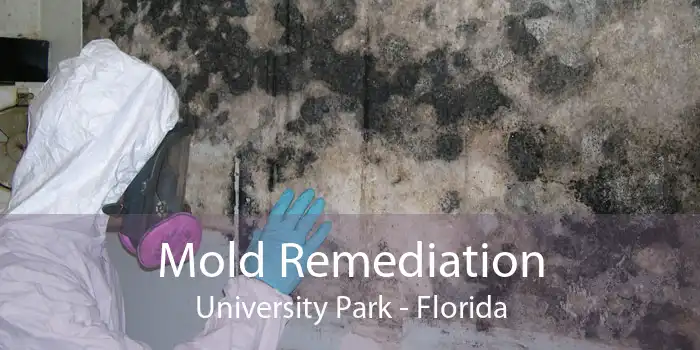 Mold Remediation University Park - Florida