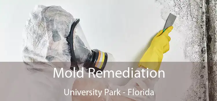 Mold Remediation University Park - Florida