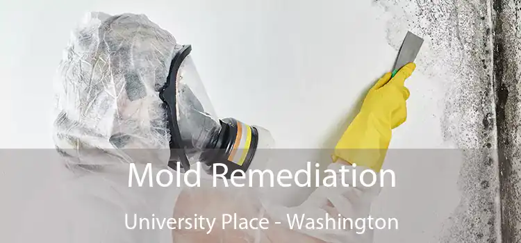 Mold Remediation University Place - Washington