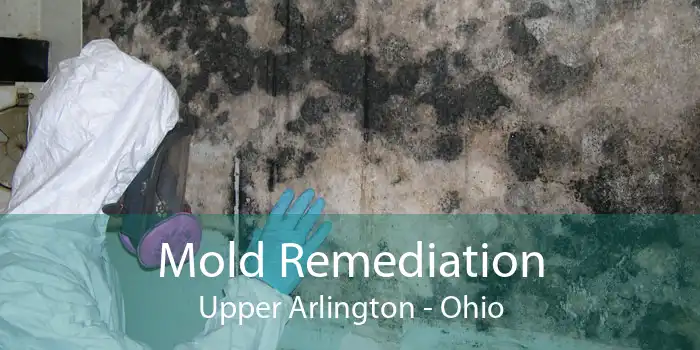 Mold Remediation Upper Arlington - Ohio