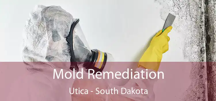 Mold Remediation Utica - South Dakota