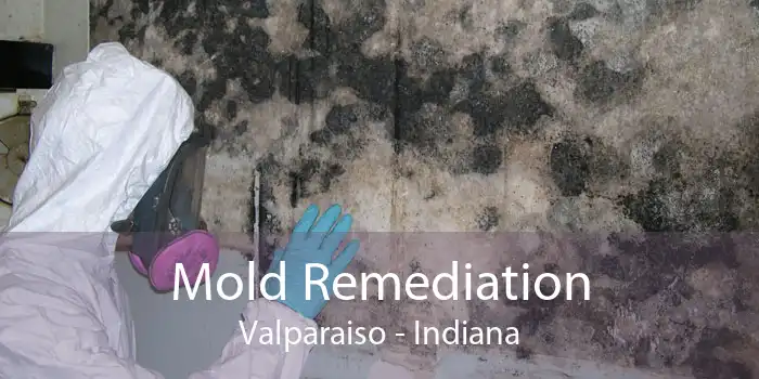 Mold Remediation Valparaiso - Indiana