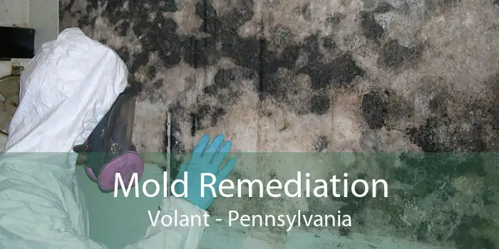 Mold Remediation Volant - Pennsylvania