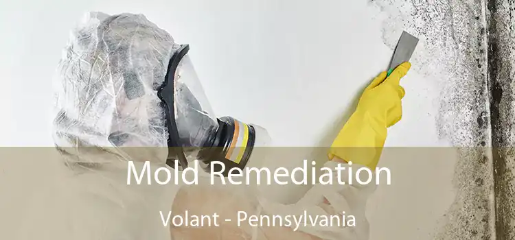 Mold Remediation Volant - Pennsylvania