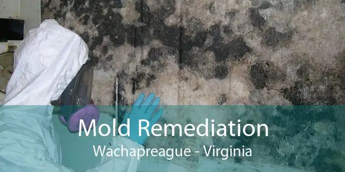 Mold Remediation Wachapreague - Virginia