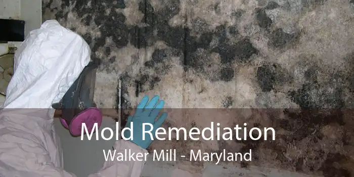 Mold Remediation Walker Mill - Maryland