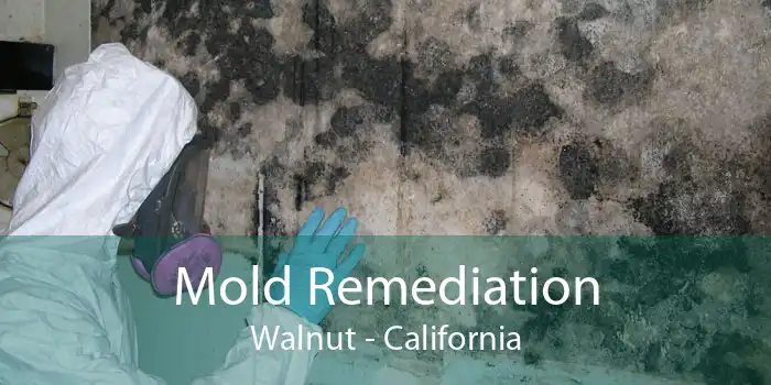 Mold Remediation Walnut - California