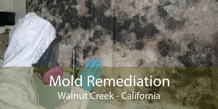 Mold Remediation Walnut Creek - California