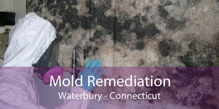 Mold Remediation Waterbury - Connecticut