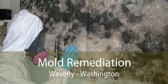 Mold Remediation Waverly - Washington