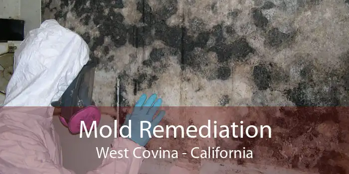 Mold Remediation West Covina - California