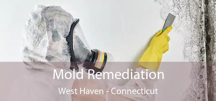 Mold Remediation West Haven - Connecticut