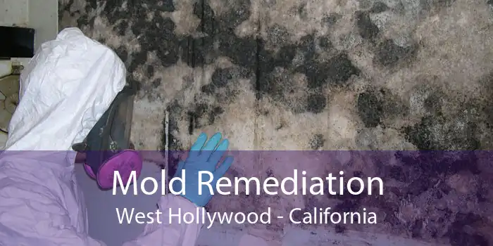 Mold Remediation West Hollywood - California