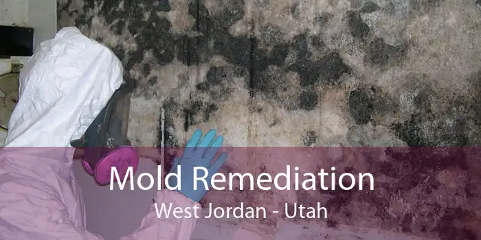 Mold Remediation West Jordan - Utah