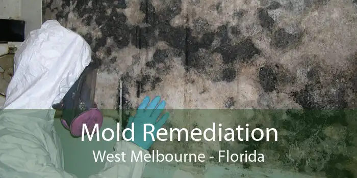 Mold Remediation West Melbourne - Florida