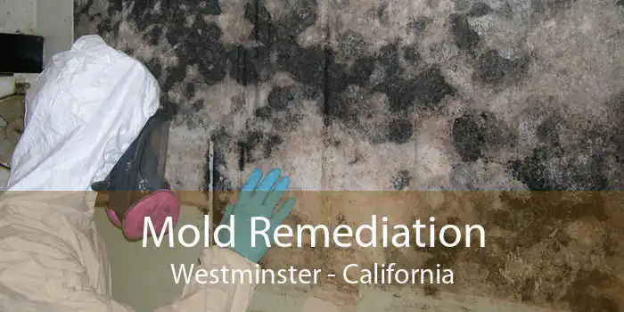 Mold Remediation Westminster - California
