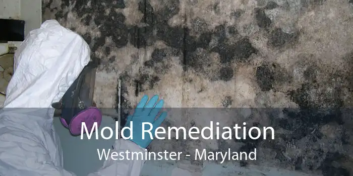 Mold Remediation Westminster - Maryland