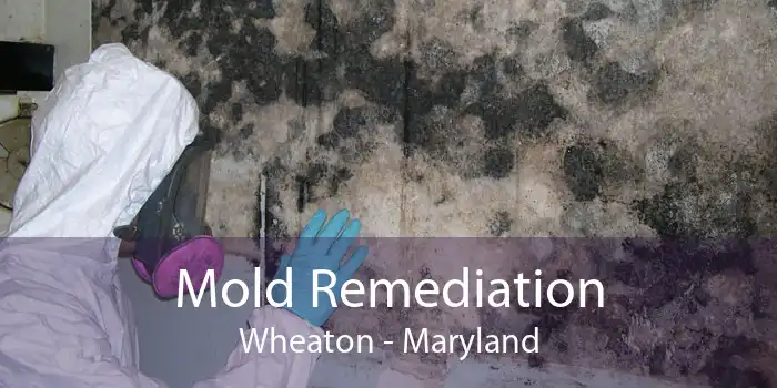 Mold Remediation Wheaton - Maryland