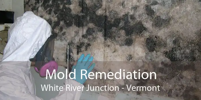 Mold Remediation White River Junction - Vermont