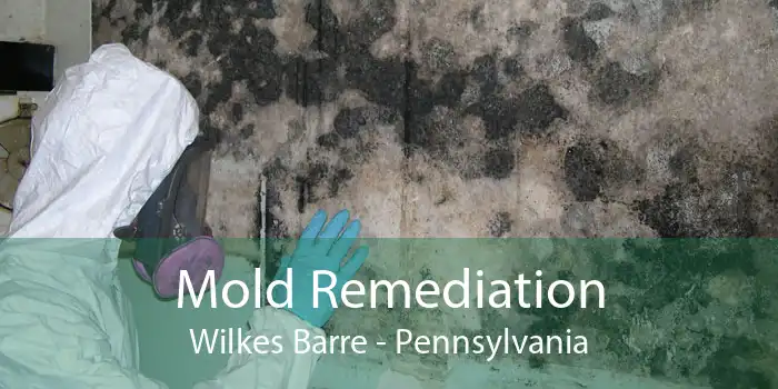 Mold Remediation Wilkes Barre - Pennsylvania