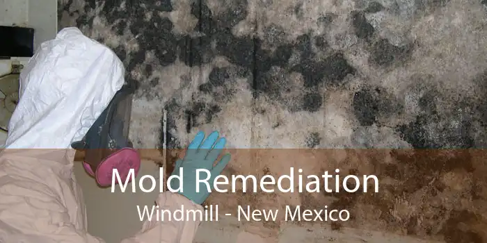 Mold Remediation Windmill - New Mexico