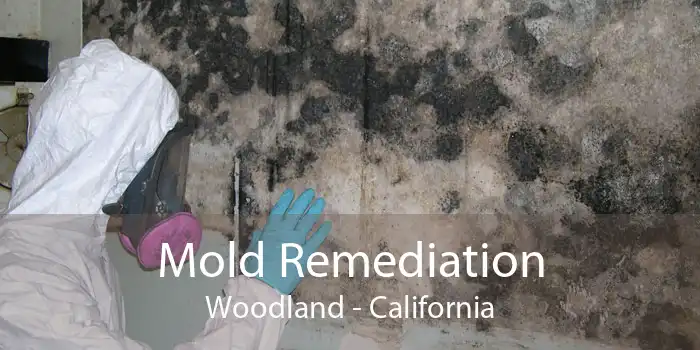 Mold Remediation Woodland - California