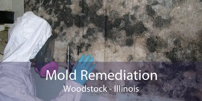 Mold Remediation Woodstock - Illinois