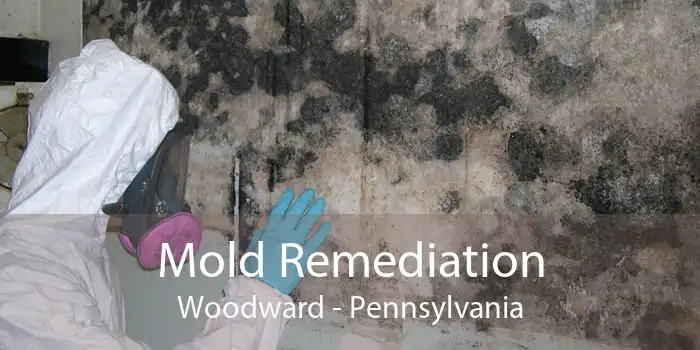 Mold Remediation Woodward - Pennsylvania