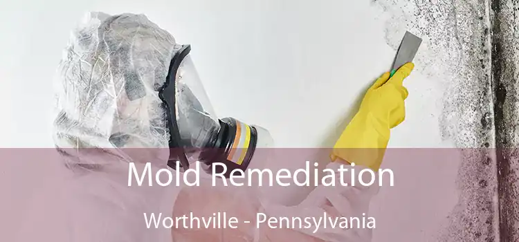 Mold Remediation Worthville - Pennsylvania