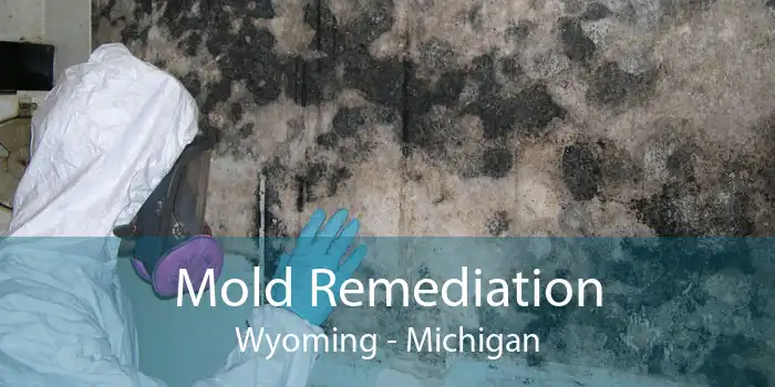 Mold Remediation Wyoming - Michigan