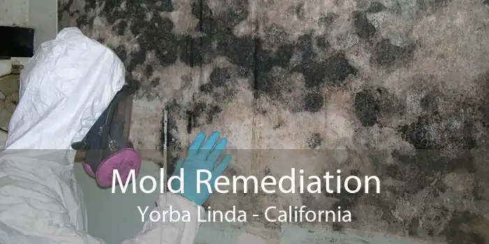 Mold Remediation Yorba Linda - California