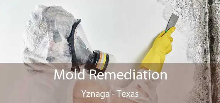 Mold Remediation Yznaga - Texas