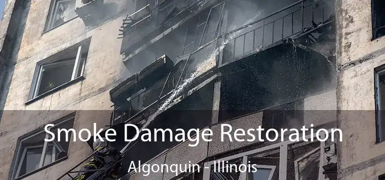 Smoke Damage Restoration Algonquin - Illinois