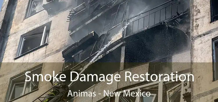 Smoke Damage Restoration Animas - New Mexico