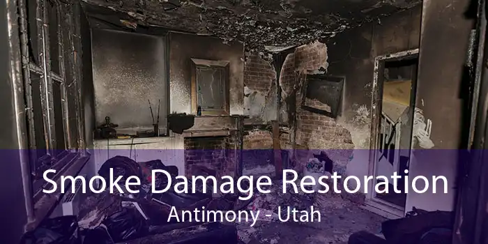 Smoke Damage Restoration Antimony - Utah