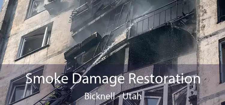 Smoke Damage Restoration Bicknell - Utah