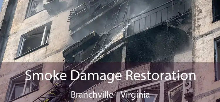 Smoke Damage Restoration Branchville - Virginia