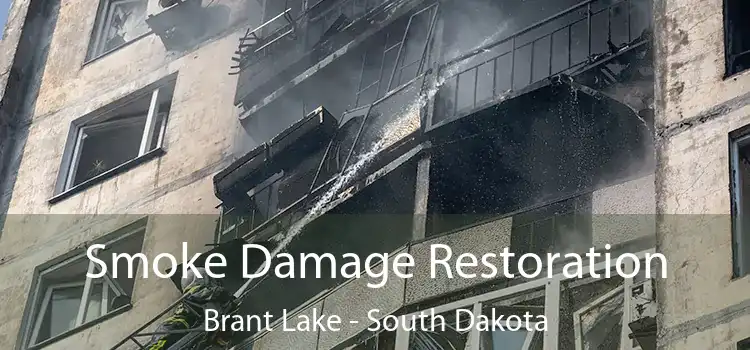 Smoke Damage Restoration Brant Lake - South Dakota