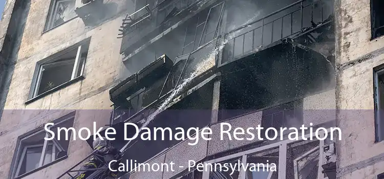 Smoke Damage Restoration Callimont - Pennsylvania