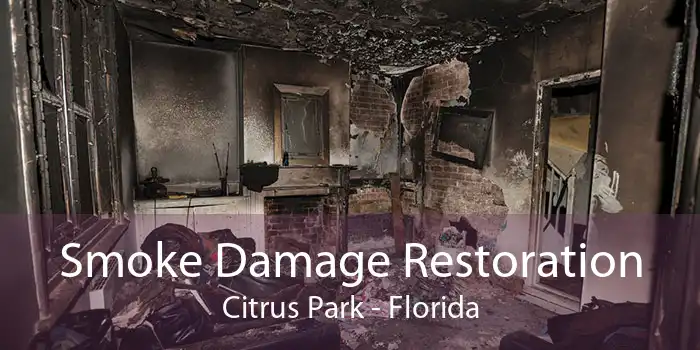 Smoke Damage Restoration Citrus Park - Florida